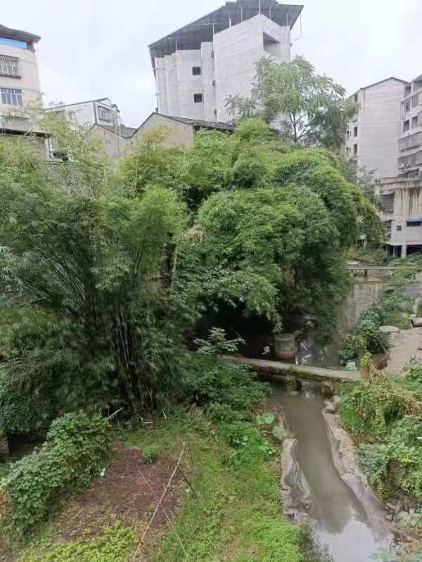 1655813302209856.png image.png