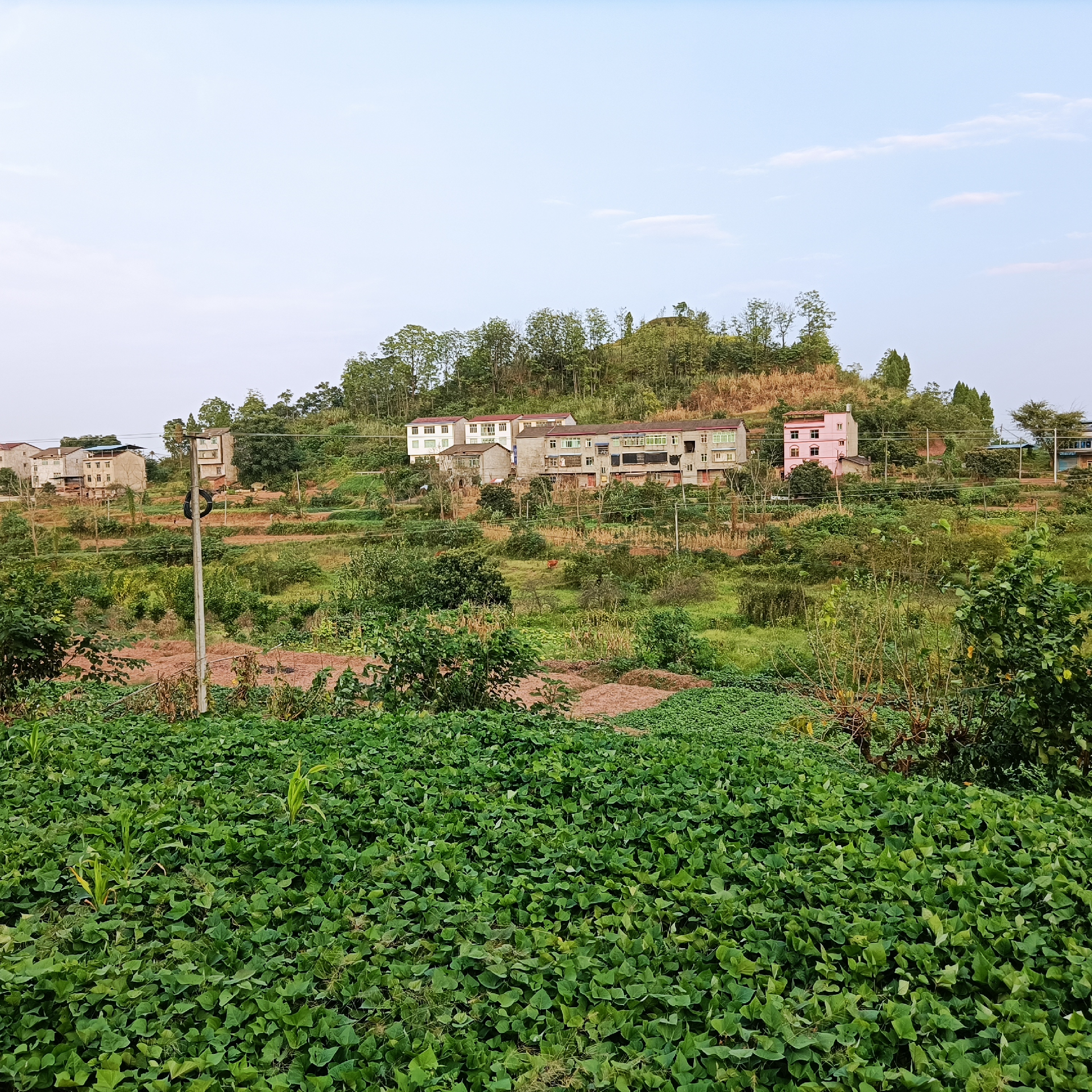 1655813340144248.png image.png