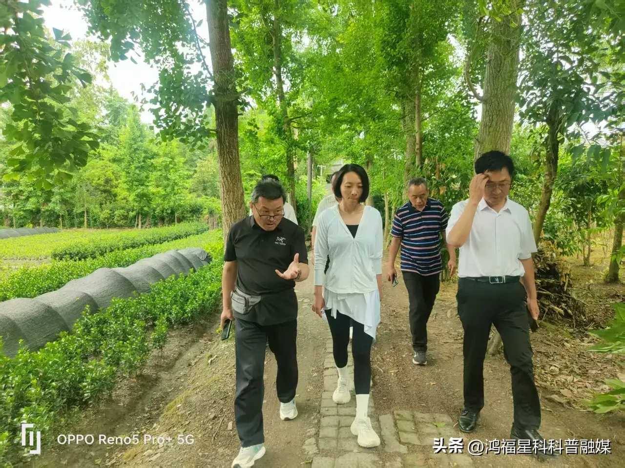 1748051775121052.jpg 856a533854002ca4c41ae886284c468.jpg