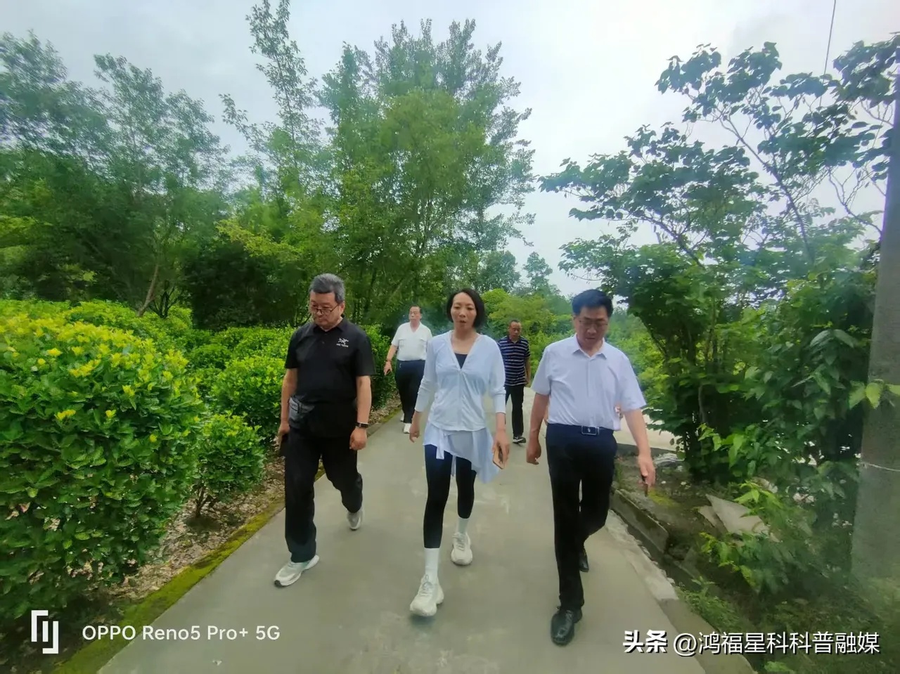 1748051811732135.jpg 3fd686c0d4af3432c58c0e7ca91146c.jpg